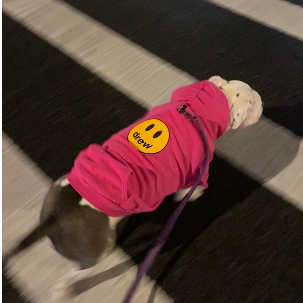 dawg drew house Mascot Hoodie Magenta Justin Bieber dog hoodie Hot Pink